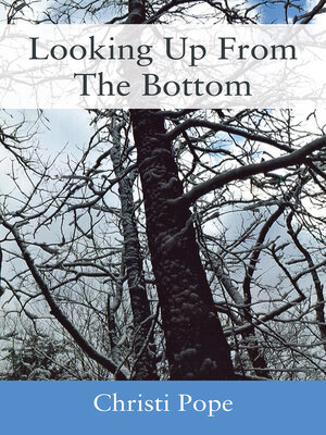 cover image of Looking Up From the Bottom